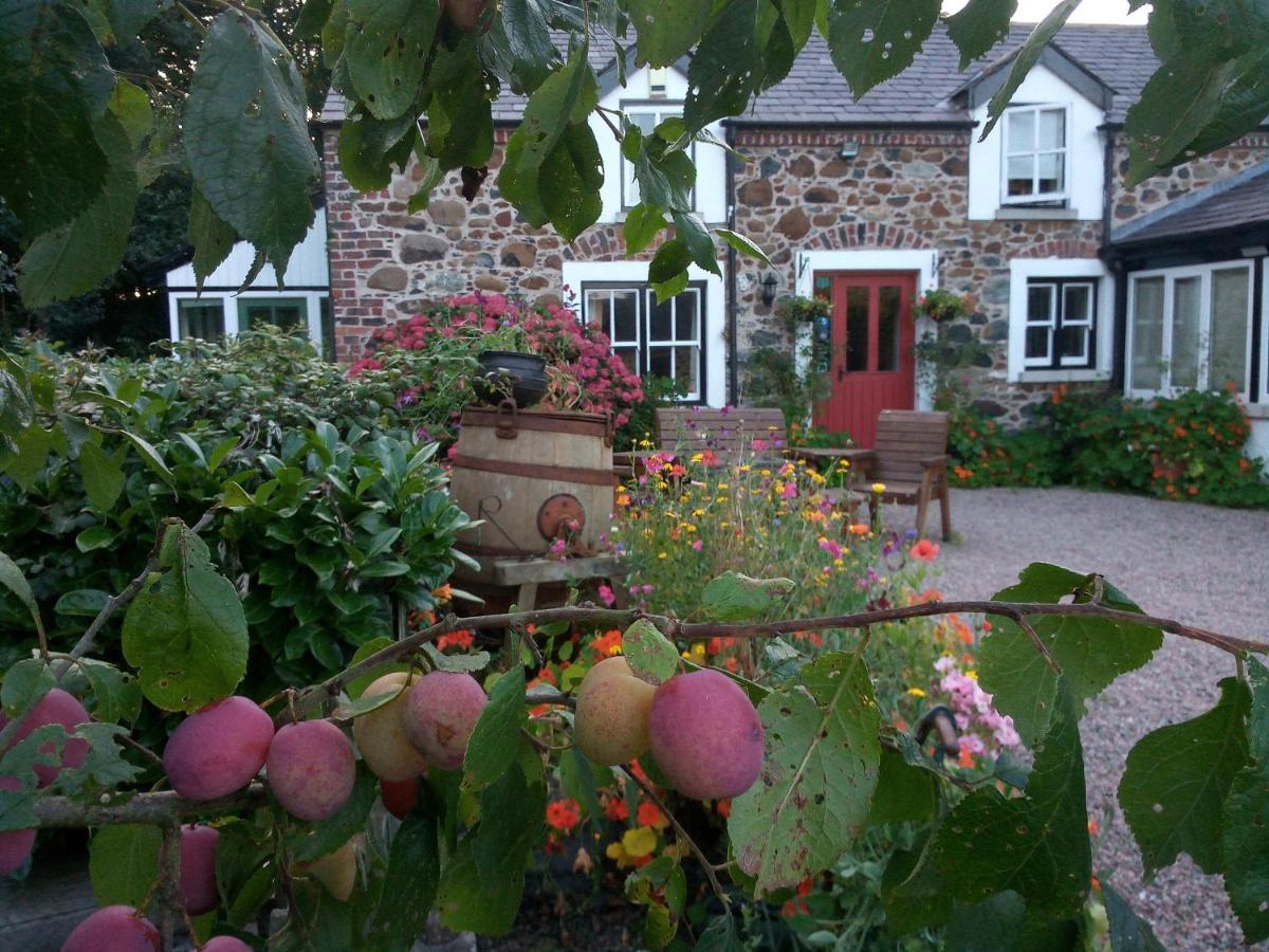 Berwick Hall Cottage Moira  Eksteriør billede