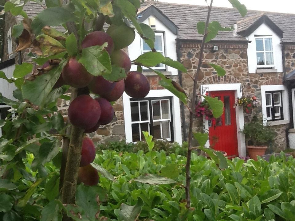 Berwick Hall Cottage Moira  Værelse billede